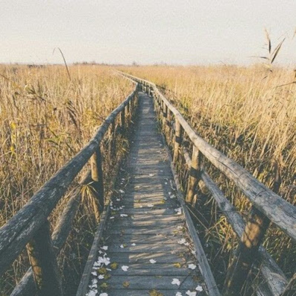 Meet your Posher, Ariana